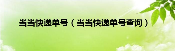 当当快递单号（当当快递单号查询）