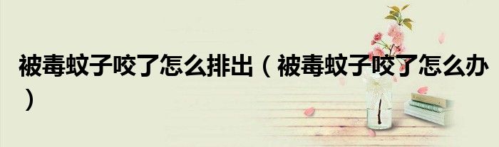 被毒蚊子咬了怎么排出（被毒蚊子咬了怎么办）