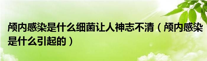 颅内感染是什么细菌让人神志不清（颅内感染是什么引起的）
