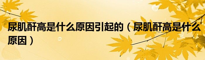 尿肌酐高是什么原因引起的（尿肌酐高是什么原因）