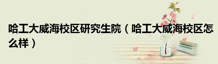 哈工大威海校区研究生院（哈工大威海校区怎么样）