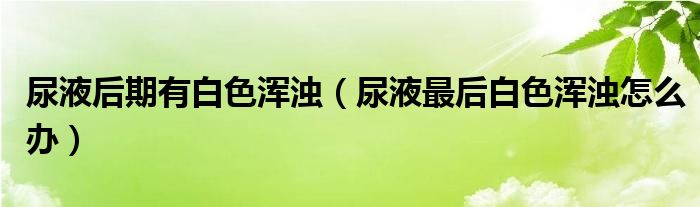尿液后期有白色浑浊（尿液最后白色浑浊怎么办）