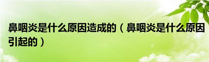 鼻咽炎是什么原因造成的（鼻咽炎是什么原因引起的）