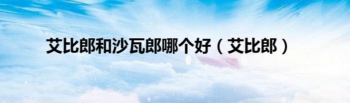 艾比郎和沙瓦郎哪个好（艾比郎）