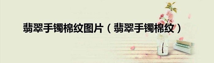翡翠手镯棉纹图片（翡翠手镯棉纹）