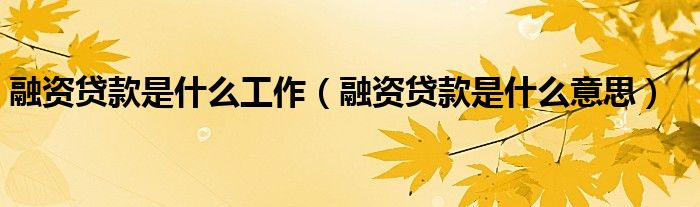 融资贷款是什么工作（融资贷款是什么意思）
