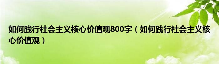如何践行社会主义核心价值观800字（如何践行社会主义核心价值观）