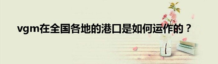 vgm在全国各地的港口是如何运作的？