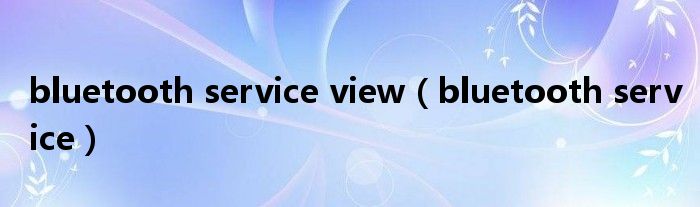 bluetooth service view（bluetooth service）