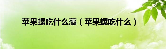 苹果螺吃什么藻（苹果螺吃什么）