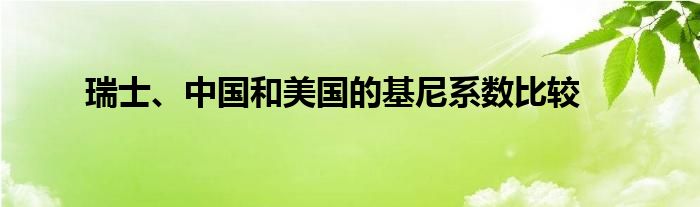 瑞士、中国和美国的基尼系数比较