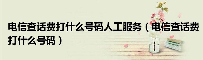 电信查话费打什么号码人工服务（电信查话费打什么号码）
