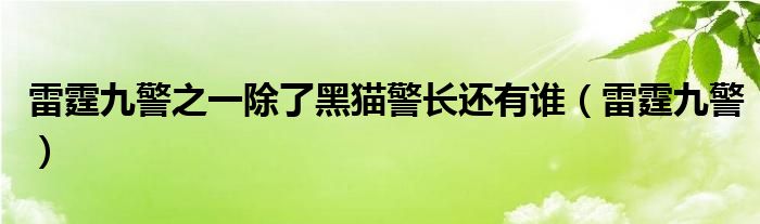 雷霆九警之一除了黑猫警长还有谁（雷霆九警）