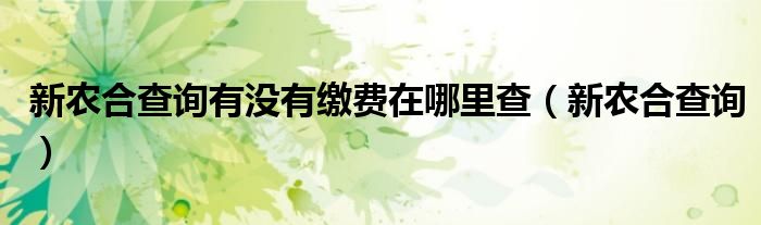 新农合查询有没有缴费在哪里查（新农合查询）