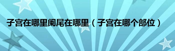 子宫在哪里阑尾在哪里（子宫在哪个部位）