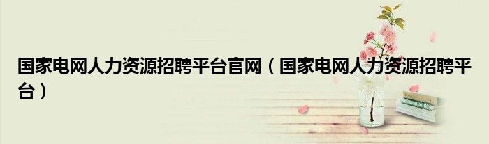 国家电网人力资源招聘平台官网（国家电网人力资源招聘平台）