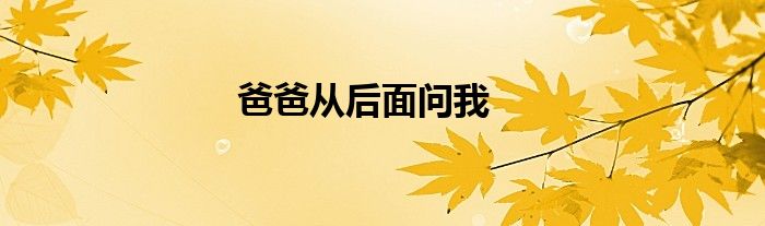 爸爸从后面问我