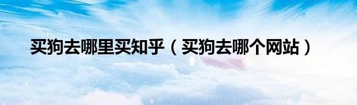 买狗去哪里买知乎（买狗去哪个网站）
