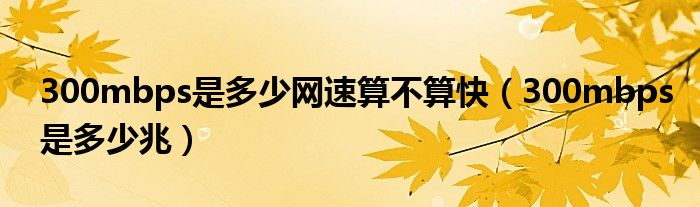 300mbps是多少网速算不算快（300mbps是多少兆）