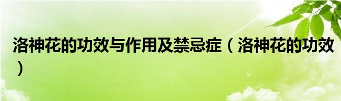 洛神花的功效与作用及禁忌症（洛神花的功效）