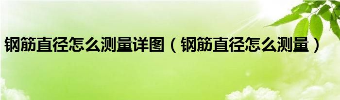 钢筋直径怎么测量详图（钢筋直径怎么测量）