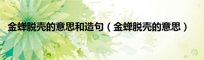 金蝉脱壳的意思和造句（金蝉脱壳的意思）
