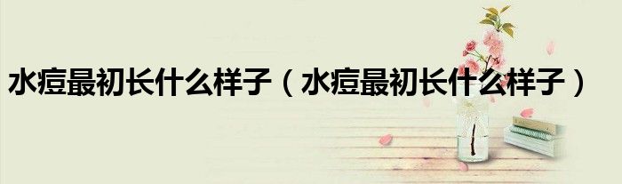 水痘最初长什么样子（水痘最初长什么样子）