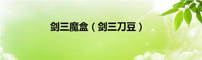 剑三魔盒（剑三刀豆）