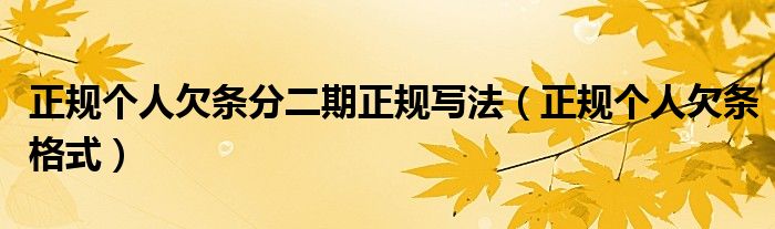 正规个人欠条分二期正规写法（正规个人欠条格式）