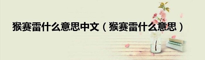 猴赛雷什么意思中文（猴赛雷什么意思）