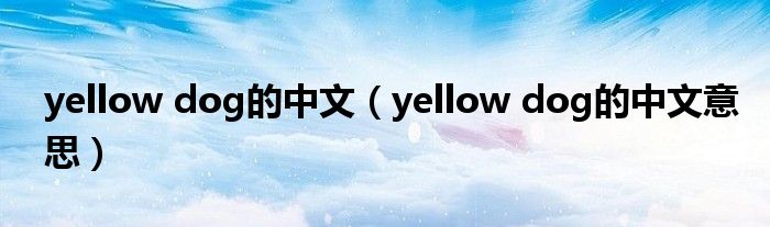 yellow dog的中文（yellow dog的中文意思）