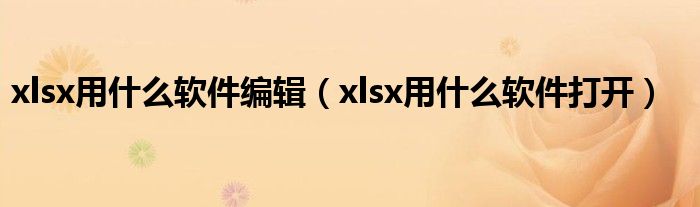 xlsx用什么软件编辑（xlsx用什么软件打开）