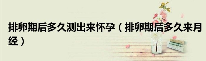 排卵期后多久测出来怀孕（排卵期后多久来月经）