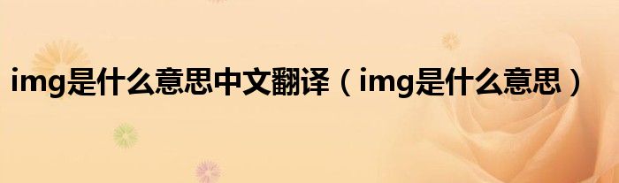 img是什么意思中文翻译（img是什么意思）