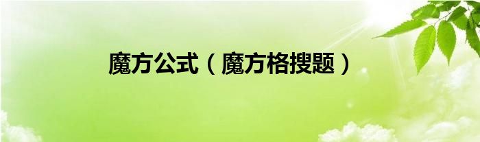 魔方公式（魔方格搜题）