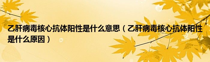 乙肝病毒核心抗体阳性是什么意思（乙肝病毒核心抗体阳性是什么原因）