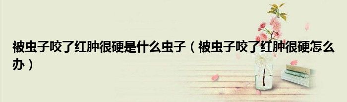 被虫子咬了红肿很硬是什么虫子（被虫子咬了红肿很硬怎么办）