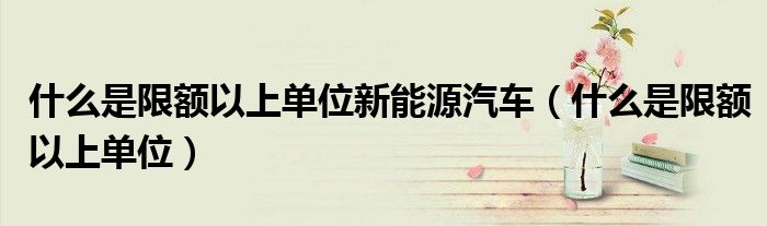 什么是限额以上单位新能源汽车（什么是限额以上单位）