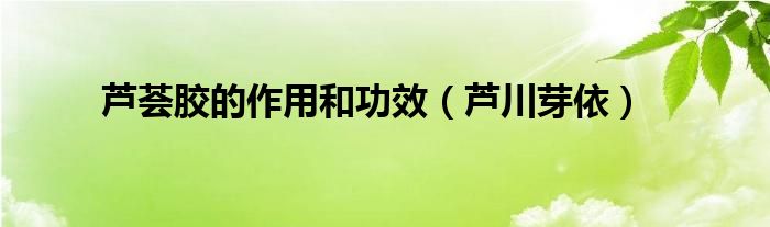芦荟胶的作用和功效（芦川芽依）