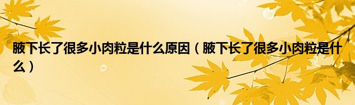 腋下长了很多小肉粒是什么原因（腋下长了很多小肉粒是什么）