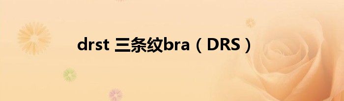 drst 三条纹bra（DRS）