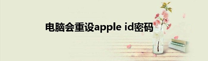 电脑会重设apple id密码