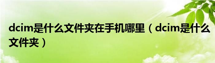 dcim是什么文件夹在手机哪里（dcim是什么文件夹）