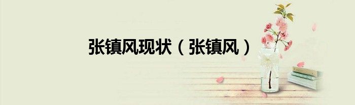 张镇风现状（张镇风）