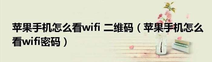 苹果手机怎么看wifi 二维码（苹果手机怎么看wifi密码）