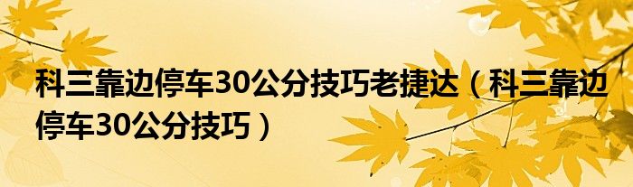 科三靠边停车30公分技巧老捷达（科三靠边停车30公分技巧）