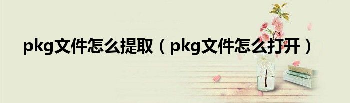 pkg文件怎么提取（pkg文件怎么打开）