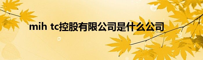 mih tc控股有限公司是什么公司