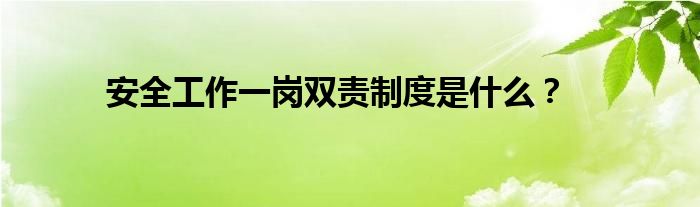 安全工作一岗双责制度是什么？