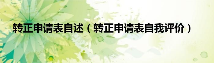 转正申请表自述（转正申请表自我评价）